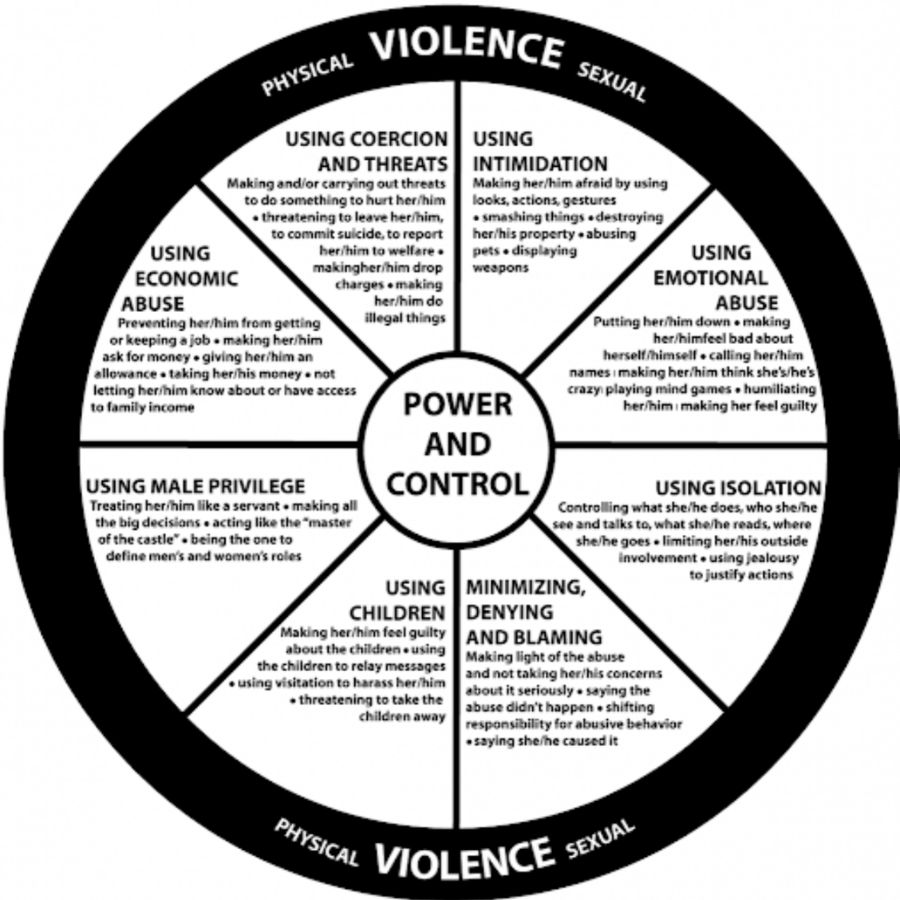 Power of control wheel domestic abuse